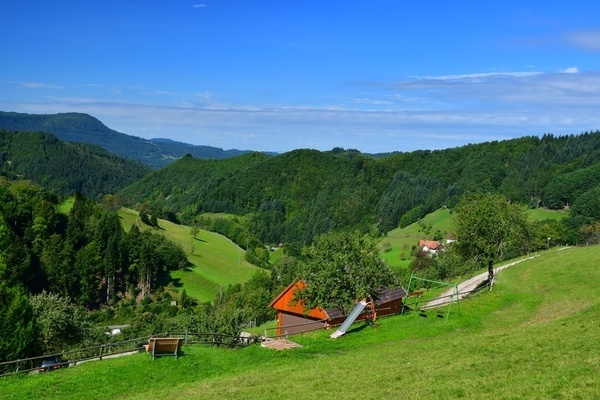 'Panoramasicht vom M�llerbauernhof im Schwarzwald'