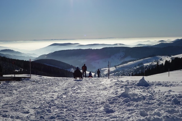 Rodeln am Stbenwasen