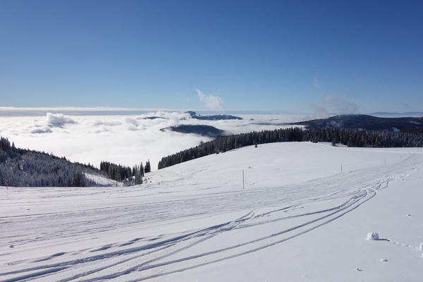 Langlauf Loipe (Stbenwasenspur) oberhalb von Todtnauberg