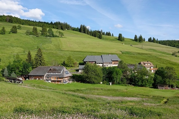 Haus am Bach - ein 300 Jahre altes Schwarzwaldhaus in ruhiger Ortsrandlage