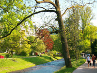 Lichtentaler Allee (Bildnachweis: Baden-Baden Kur & Tourismus GmbH) Lichtentaler Allee (Bildnachweis: Baden-Baden Kur & Tourismus GmbH)