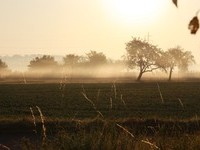 Tiefenbronn (Bildnachweis: Mit freundlicher Genehmigung des Brgermeisteramtes Tiefenbronn)