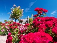 (Bildnachweis: Mit freundlicher Genehmigung der Tourist Information" Am Roseneck" Weilheim) (Bildnachweis: Mit freundlicher Genehmigung der Tourist Information" Am Roseneck" Weilheim)