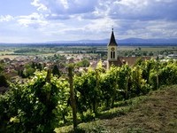 (Bildnachweis: Mit freundlicher Genehmigung der Touristikinformation Auggen / Winzerkeller Auggener Schäf) (Bildnachweis: Mit freundlicher Genehmigung der Touristikinformation Auggen / Winzerkeller Auggener Schäf)