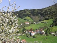 Frhling, Blick zur Rehaklinik - Fotograf: Bernhard Wrzburger (Bildnachweis:  Tourist-Info Glottertal, Foto: Bernhard Wrzburger)