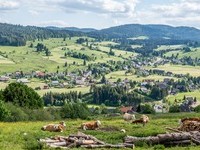  (Bildnachweis: Mit freundlicher Genehmigung Tourist Information Bernau)