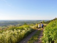  (Bildnachweis: Mit freundlicher Genehmigung der Gemeinde Friesenheim)