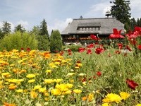  (Bildnachweis: Tourist-Information Grafenhausen)