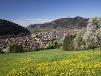 � ZweiT�lerLand Tourismus, Gutach-Bleibach Fotograf Clemens Emmler (Bildnachweis: � ZweiT�lerLand Tourismus, Gutach-Bleibach Fotograf Clemens Emmler)