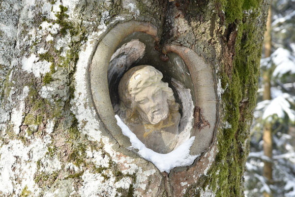 Balzer Herrgott in Furtwangen im Winter Copyright: (� Hochschwarzwald Tourismus GmbH)