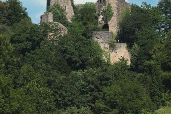  Copyright: (Mit freundlicher Genehmigung von Staatliche Schl�sser und G�rten Ba.-W�.)