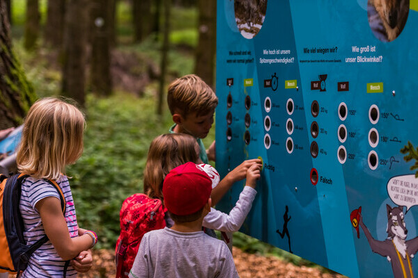 Wolfspfad Bildnachweis:  Tourist-Information Hchenschwand, Fotograf Klaus Hansen