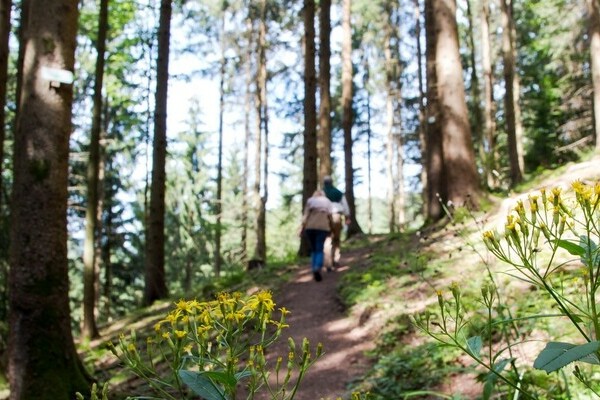 Wiesensteig Bad Peterstal-Griebach Bildnachweis: &copy; Bad Peterstal-Griesbach